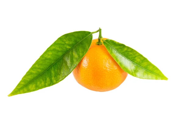 Mandarina aislada — Foto de Stock