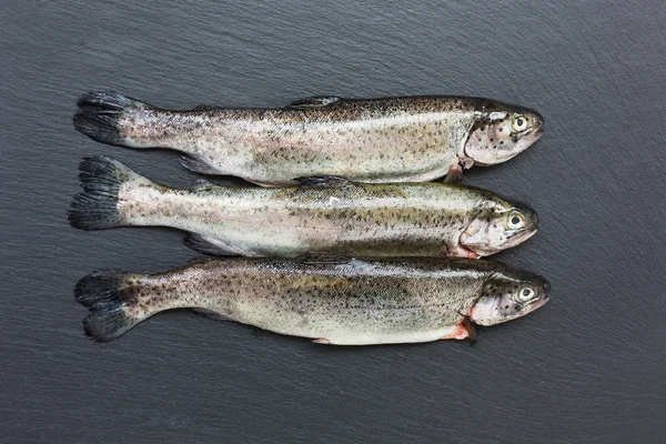 Tres pescados frescos de trucha en pizarra negra — Foto de Stock