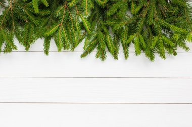 Christmas background. Christmas fir tree on white wooden board background, copy space
