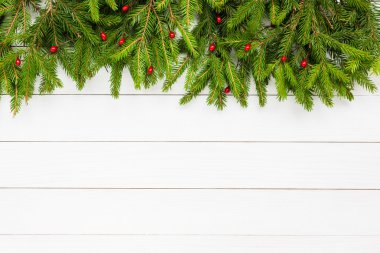 Christmas background.  Christmas fir tree on white wooden board background, copy space