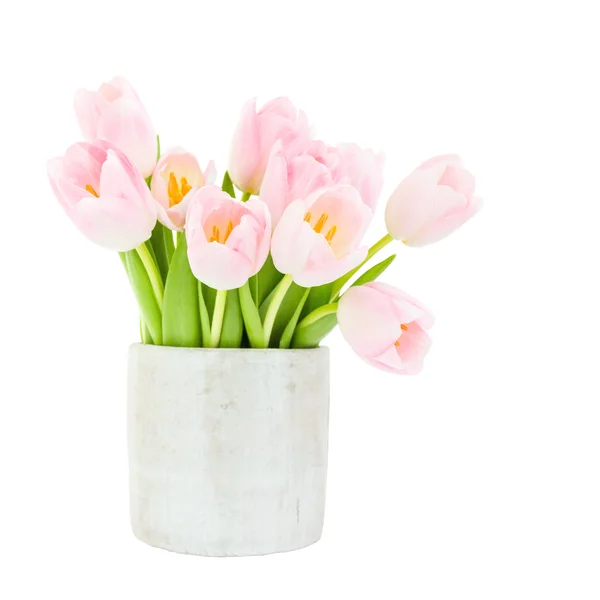 Ramo de tulipanes rosados en jarrón gris aislado sobre fondo blanco . — Foto de Stock