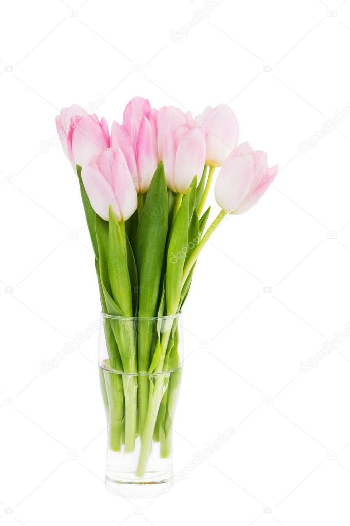 Bouquet of fresh pink tulips in vase isolated over white