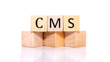 Beyaz arkaplanda tahta bir küp üzerine yazılmış CMS Özel Yönetim Sistemi.