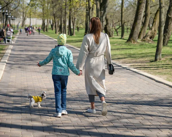 a little girl walks with her mother by the hand on a spring day in the park.