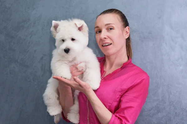 Porträt eines jungen Mädchens mit einem West Highland White Terrier Welpen auf grauem Hintergrund. — Stockfoto