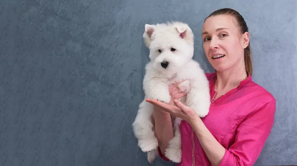 Junge Pflegerin zeigt West Highland White Terrier Welpen nach erster Pflege — Stockfoto