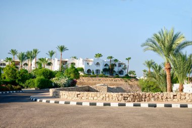 Mısır 'daki otelin arazisinde iyi bakımlı bitkiler ve yollar var.