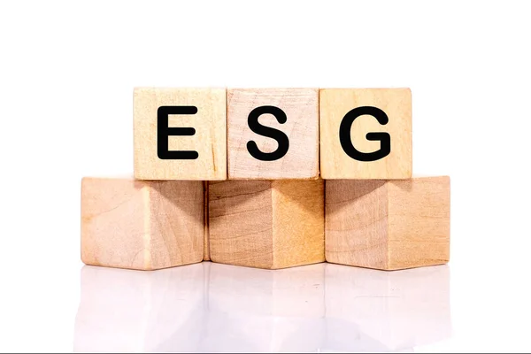 Beyaz arkaplandaki tahta küplere ESG yazıları.