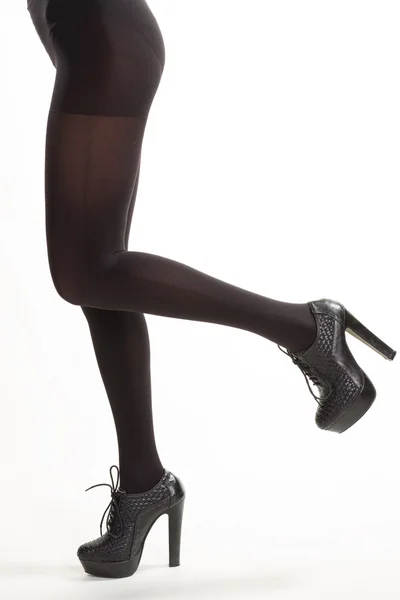 Donkere elegante panty. — Stockfoto