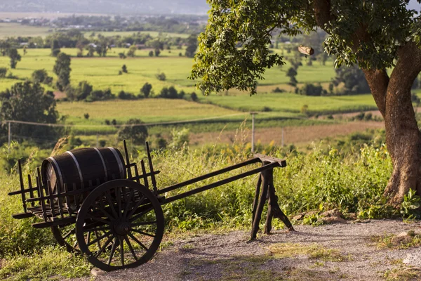 Carro con un barril de vino —  Fotos de Stock