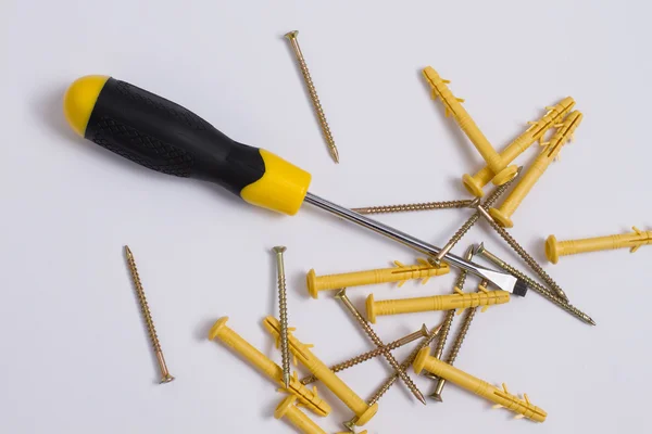 Screwdriver with screws and dowels — Stock Photo, Image