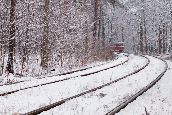 Ferrovia nella foresta — Foto Stock