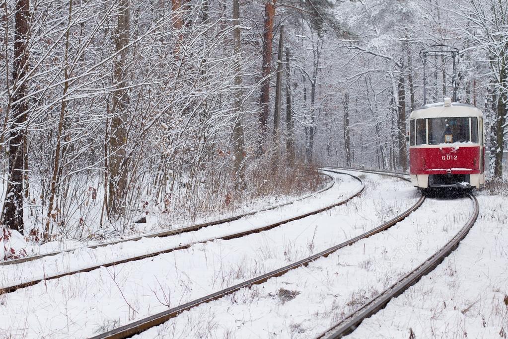 Railway in forest