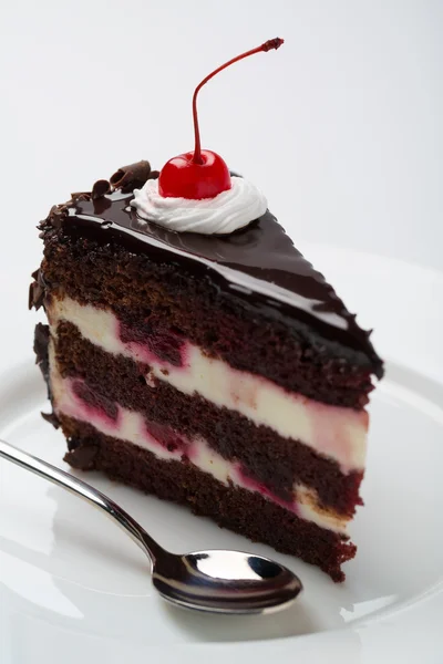 Delicioso bolo de chocolate — Fotografia de Stock