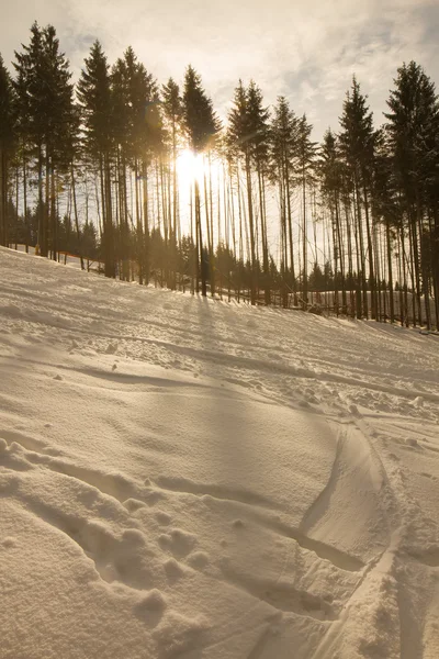 Puesta de sol en invierno . —  Fotos de Stock