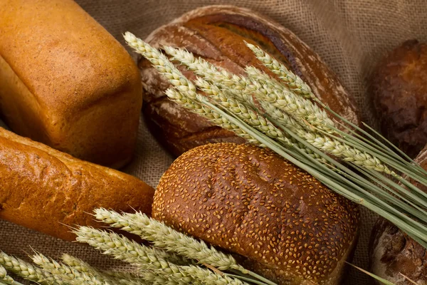 Delicious fresh bread — Stock Photo, Image