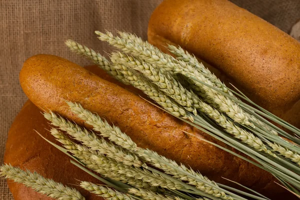 Chléb s pšenice — Stock fotografie