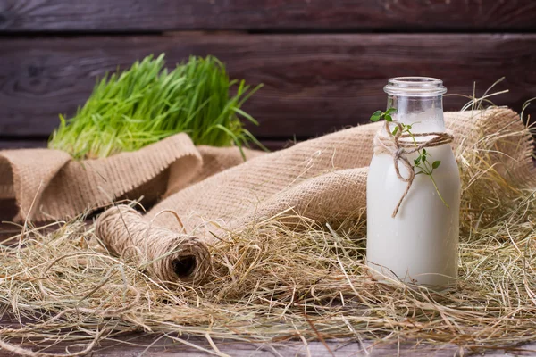 Heerlijke milkshake in exclusieve glazen pot. — Stockfoto