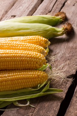 Lezzetli mısır koçanı.