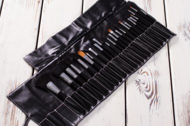 Profesyonel makyaj fırçaları seti.