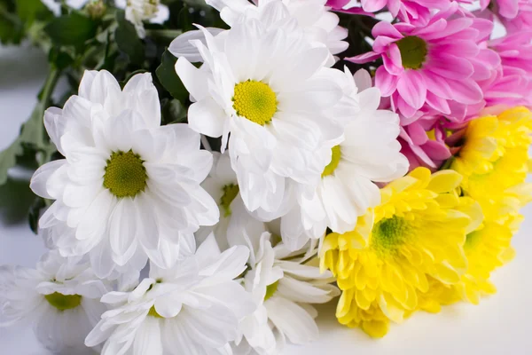 Bouquet of bright chrysanthemums. — Stock Photo, Image