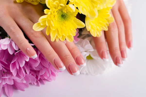 Well-groomed vrouwelijke handen met manicure. — Stockfoto