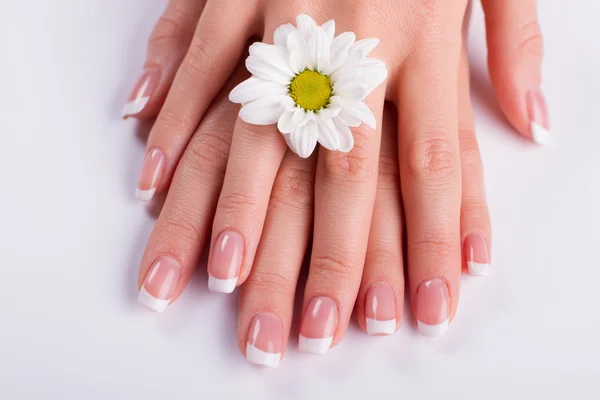 Schoonheid delicate handen met manicure. — Stockfoto