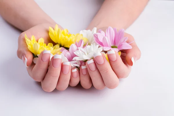 Chryzantémy v ženských rukou. — Stock fotografie