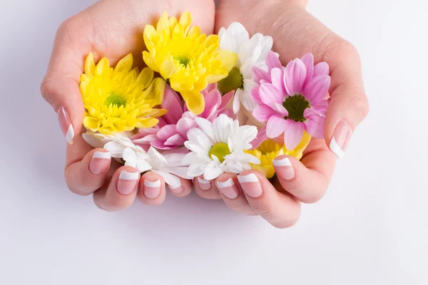 Colorfui bloemen in de handen. — Stockfoto