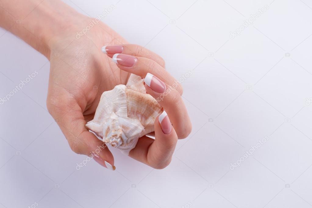 Beautiful shell in a female hand. 