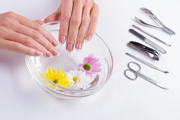 Gentle french manicure with flowers. — Stock Photo, Image