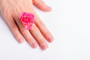 Pembe Gül bud parmak arasında.