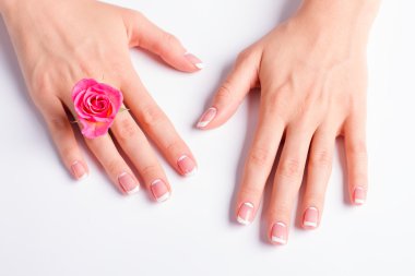 Parmaklar arasında pembe Gül.