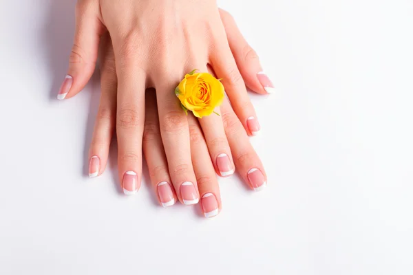 Hermosas manos femeninas con manicura francesa . — Foto de Stock