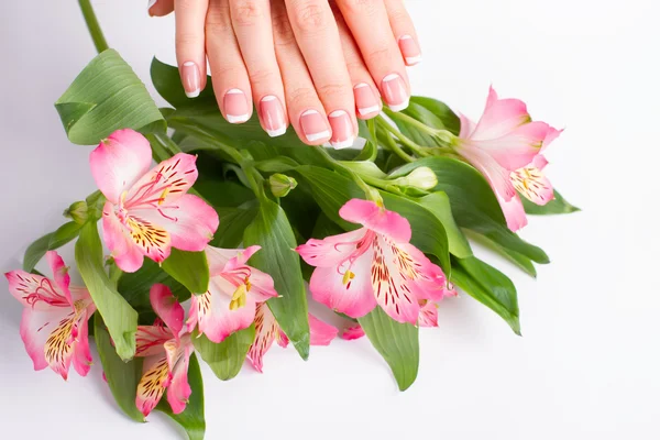 Manicure op een achtergrond van fresia's bloemen. — Stockfoto