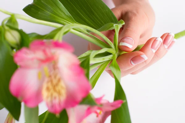 Piękne kobiece strony z manicure. — Zdjęcie stockowe