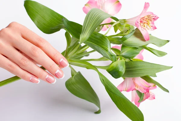 Hand met manicure houdt een delicaat tak van freesia. — Stockfoto