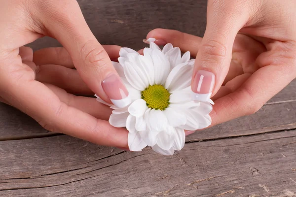 Mooi design van manicure. — Stockfoto