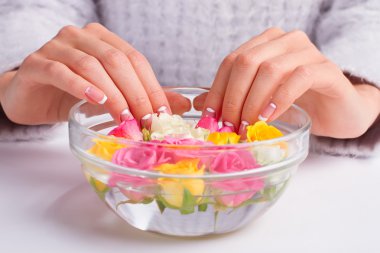 Su bir kase içinde ihale gül. 