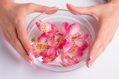 Güzel çiçeklerle kase. 