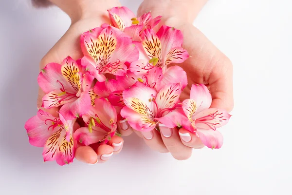 Bloemen fresia's in de vorm van een hart. — Stockfoto