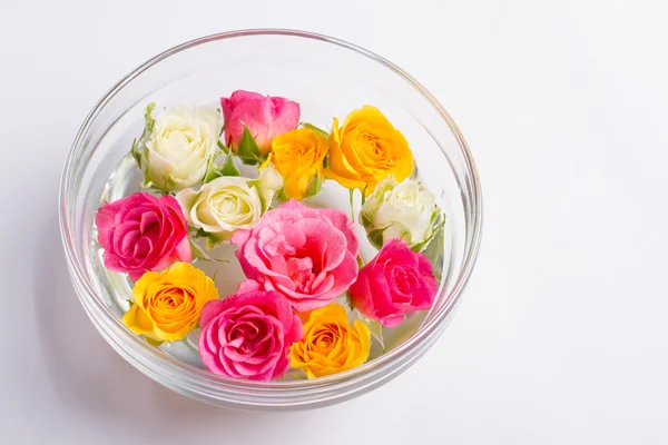 Plate with flowers. Multicolored roses in the water. — Stock Photo, Image