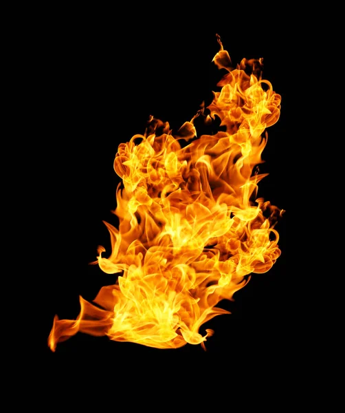 Fire Flames Collection Isolated Black Background — Stock Photo, Image