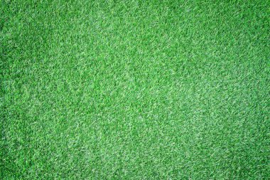 Güzel yeşil çimen dokusu