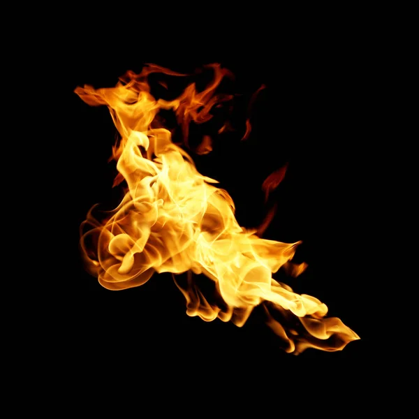 Fire Flames Collection Isolated Black Background — Stock Photo, Image