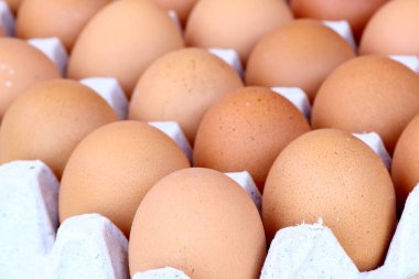 Yakın plan tavuk kahverengi yumurta arka planı