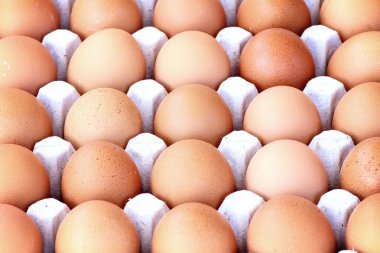 Yakın plan tavuk kahverengi yumurta arka planı