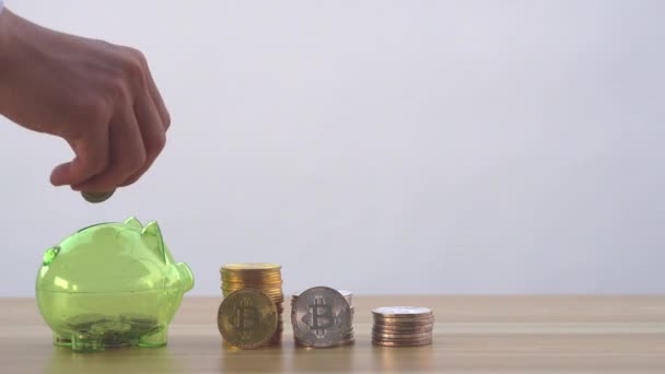 Hand Holding Coin Piggy Bank Money Future — Stock Video
