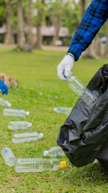 Parktaki çimlerde plastik şişeler toplayın. Ormanı temizleyin. Çevreye yardım edin.
