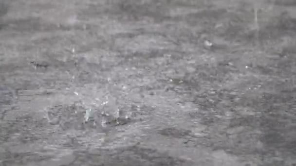 Lluvia Que Llueve Según Estación Estación Caliente — Vídeo de stock